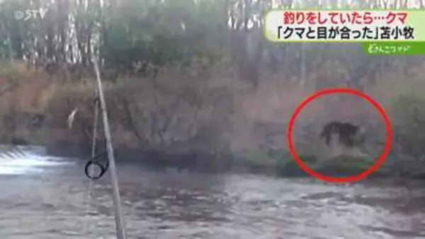 釣りをしていたら対岸にクマ「目が合って、やばいと…」相次ぐクマの目撃…注意を　北海道苫小牧市