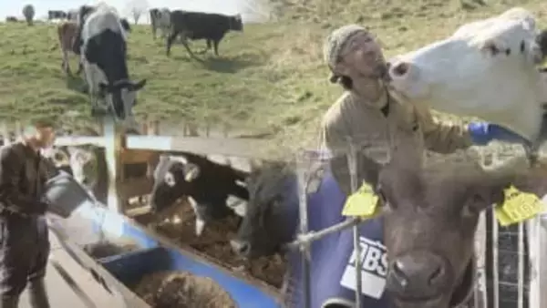 けがや病気もあきらめない！すべての命に役割を　家畜と向き合い続ける畜産農家たちのリアル　北海道