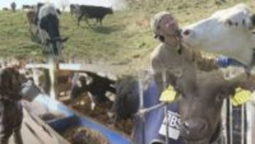 けがや病気もあきらめない！すべての命に役割を　家畜と向き合い続ける畜産農家たちのリアル　北海道