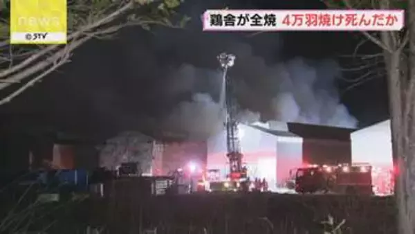 「付近で鶏舎が燃えている」千歳の養鶏場で火事　採卵用鶏舎１棟が全焼　約４万羽焼け死んだか