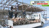 「「潮風にあてうまみを出す」“棒ダラ”乾燥作業が最盛期　秋ごろに出荷へ　北海道稚内市」の画像1