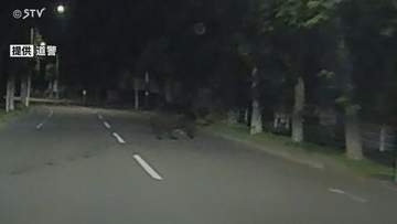 市街地を走り抜けるヒグマ　道路を横断…小学校の方向へ　川から上がった痕跡も…足跡残る　北海道