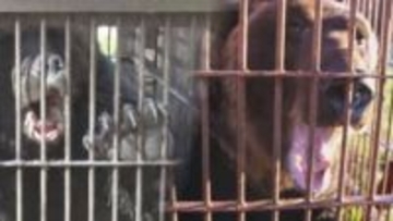 人身被害相次ぐ異常事態「なぜ息子が？」父親の思い…コメント全文　札幌の“ヒグマ対策”最前線を取材