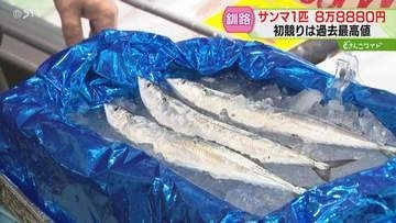 なんと！１匹８万８８８０円　初競りは過去最高値　サンマ水揚げ増加のカギは「沖合の群れ」釧路