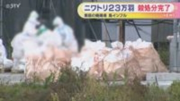 鳥インフル防疫措置完了　恵庭の養鶏場で２３万６０００羽を殺処分　タマゴの搬出制限はつづく