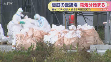 【鳥インフル】恵庭の養鶏場で約２３万羽殺処分始まる