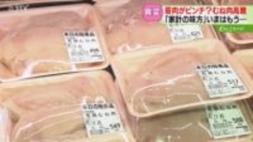 ボディビルダーも悲鳴！家計の味方「鶏むね肉」高騰…過去最高値を更新　需要が高まる年末年始