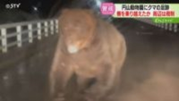 最悪のシナリオは“冬眠に入らない”　札幌の動物園にクマ出没「食べ物が足りていない」柵を乗り越え侵入か