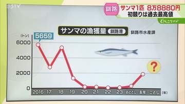 【解説】不漁続きのサンマ　漁獲量は一時25トンに減少　去年は回復もことしは？釧路で初水揚げ