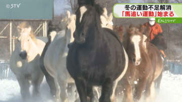 迫力満点「北海道に来たな」大型の馬が颯爽駆け抜る　冬の恒例“馬追い運動” ７７頭がコースを３周