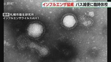 札幌の小学校で今季初の休校　インフルエンザが猛威ふるう　道北バスは運転手足りず特別ダイヤ　北海道