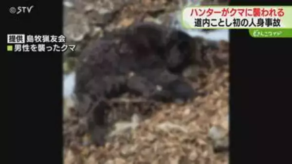 体重300キロに迫るクマ…発砲したハンターに反撃「覆いかぶさって…」道内で今年初の人身事故