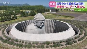 「８割は外国の方のお客様」 ラベンダーと大仏の“共演” 異彩を放つ絶景が話題に…この時期限定　札幌