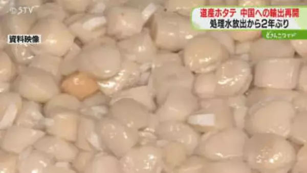道産ホタテの輸出再開も「ことしは中国へ商売できない」手続き急ぐ水産加工会社…再登録どうなる