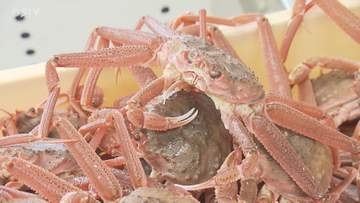 オオズワイガニを「ズワイガニ」として…計6510キロ販売　水産物卸売業者が食品表示法違反　北海道