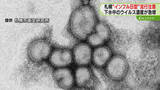 「“インフルＢ型”流行に注意！下水中の濃度が約８倍に急増　手洗いなど感染対策呼びかけ　札幌市」の画像1