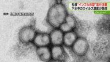 “インフルＢ型”流行に注意！下水中の濃度が約８倍に急増　手洗いなど感染対策呼びかけ　札幌市