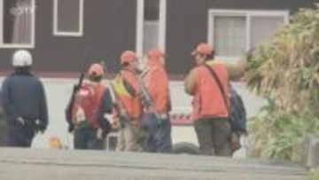 【速報】クマ1頭駆除される　札幌市南区藤野