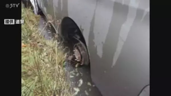 普通貨物車の後輪タイヤが脱落…50メートル先まで転がる　先月、運転手が交換　北海道旭川市