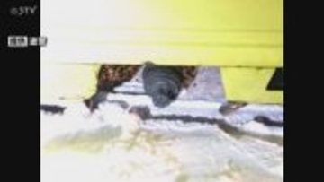 「タイヤのボルトが折れたようだ」 乗用車のタイヤが突然外れ歩道付近まで転がる けが人なし 北海道