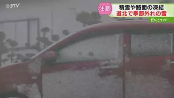 「冬のような寒さ」車の側面に湿った雪がびっしり…ベンチにはすくえるほど降り積もる　北海道