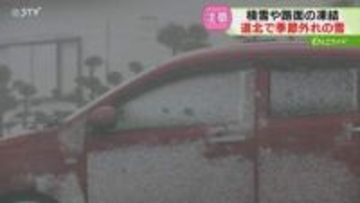 「冬のような寒さ」車の側面に湿った雪がびっしり…ベンチにはすくえるほど降り積もる　北海道