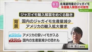 【解説】米国産ジャガイモ　もし…輸入が解禁されたら　病害虫問題や生産量への影響も