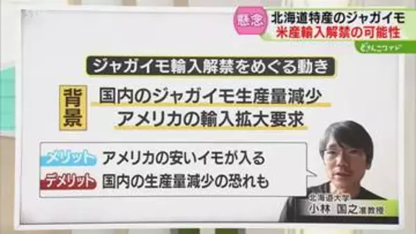 【解説】米国産ジャガイモ　もし…輸入が解禁されたら　病害虫問題や生産量への影響も