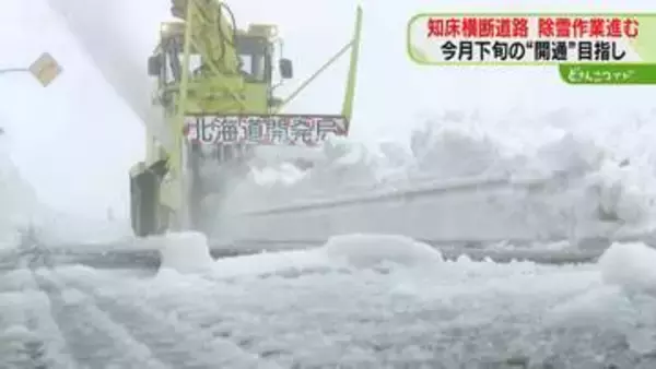 積雪深は239センチ…「知床横断道路」で除雪進む　４月下旬に通行止め解除目指す　北海道