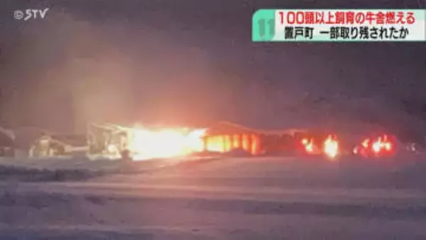 牧場の牛舎が全焼「牛舎が燃えている」100頭以上の牛の一部が取り残されている可能性　北海道