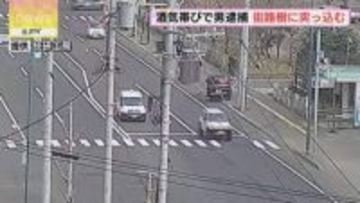 歩道乗り上げ街路樹なぎ倒す パトカーの追跡を受けた車　酒気帯び運転で男逮捕 札幌市中央区