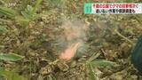 「クマの目撃相次ぐ青葉公園　ハンターら“追い払い”実施　調査で痕跡見つからず閉鎖解除　千歳市」の画像1