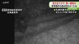 「固定カメラを見つめるクマ　羊ケ丘周辺で目撃相次ぐ　体長約1.2メートル…同一個体か　札幌市」の画像1