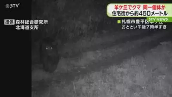 固定カメラを見つめるクマ　羊ケ丘周辺で目撃相次ぐ　体長約1.2メートル…同一個体か　札幌市