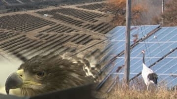 ソーラーパネルの光と影…“開発”か“自然保護”か？国の「エネルギー政策」も背景に　北海道釧路市