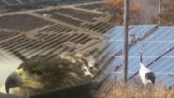 ソーラーパネルの光と影…“開発”か“自然保護”か？国の「エネルギー政策」も背景に　北海道釧路市