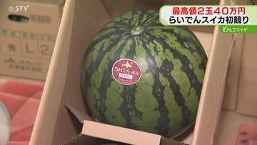 過去最高値２玉４０万円！天候恵まれ糖度高い“らいでんスイカ”　児童養護施設に寄付予定　札幌市