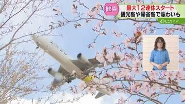 イルカのジャンプに赤ちゃんも拍手！道内各地で観光客にぎわい　阿寒湖ではおいしいグルメも　北海道