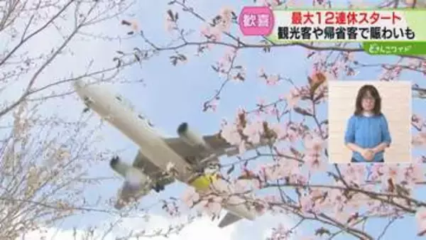 イルカのジャンプに赤ちゃんも拍手！道内各地で観光客にぎわい　阿寒湖ではおいしいグルメも　北海道