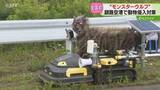「動物侵入を約６割抑える効果　“モンスターウルフ”全国初！釧路空港に本格導入「安全運航に寄与」」の画像1