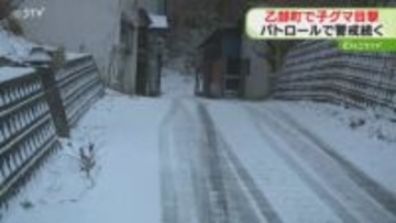 冬眠していないクマ？幅９センチのクマ足跡も…80代男性が目撃　北海道乙部町