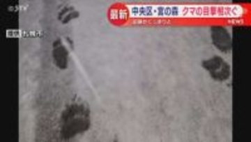 宮の森の住宅街　山の方から来て山の方に帰っていくクマの足あと　動物園出没のクマと同じ個体か