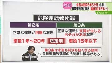 【解説】“制度の限界”指摘　危険運転致死罪は２種類　男に懲役５年６か月求刑も遺族納得できず…