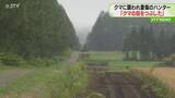 「「クマの目をつぶした」クマに襲われ重傷のハンター話す　見つかった死がいの目にの傷　北海道更別村」の画像1