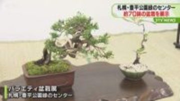 多種多様…バラエティ盆栽展　見事な枝からミニ盆栽約70鉢　札幌・豊平公園緑のセンターで開催