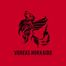 【ヴォレアス北海道】年に1度の北海きたえーる開催！28日の試合はSTVラジオで生中継！