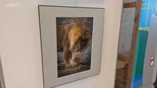 「旭山動物園の魅力を知って」旭川市の経営者らが動物園の写真展示　悪化したイメージ払しょくへ