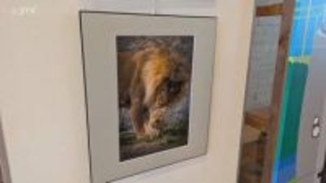 「旭山動物園の魅力を知って」旭川市の経営者らが動物園の写真展示　悪化したイメージ払しょくへ