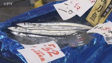 【速報】札幌では111万2000円　サンマ初競り過去最高値　釧路で水揚げ…札幌の水産会社が落札