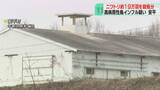 「肉用ニワトリ約18万8000羽の殺処分始まる　高病原性鳥インフルエンザの疑い　北海道安平町」の画像1